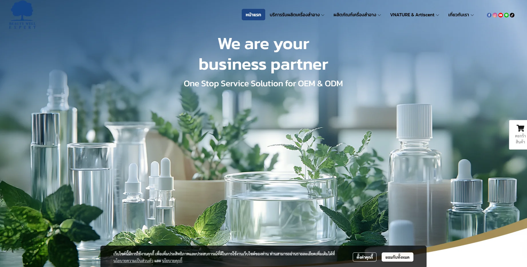 Beauty Products Manufacturers in Thailand